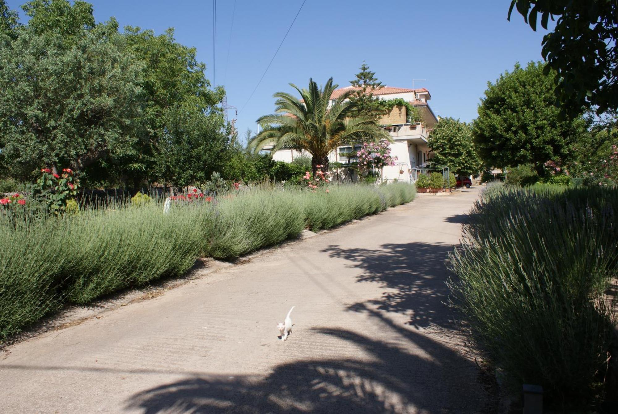 Giogaia Bed & Breakfast Modica Exterior photo